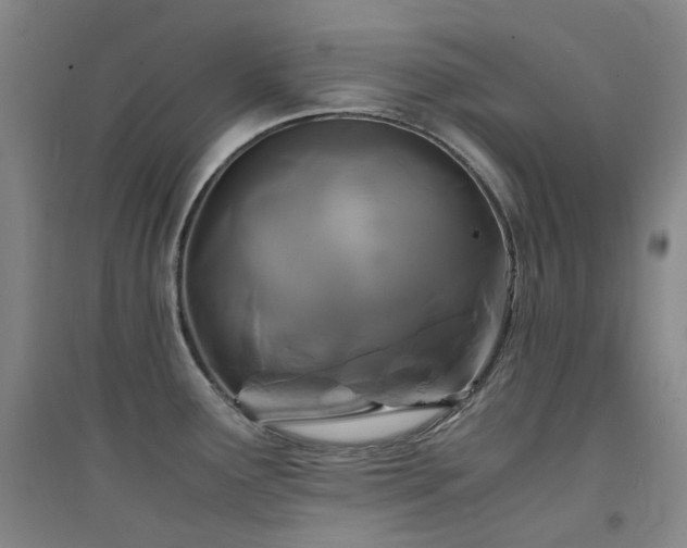 X0000094431291200711081217