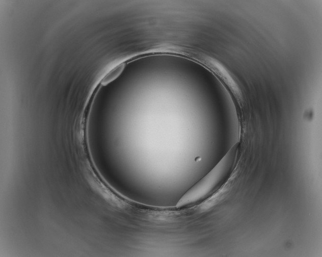 X0000094431292200711081217