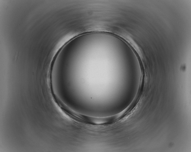 X0000094431293200711081217