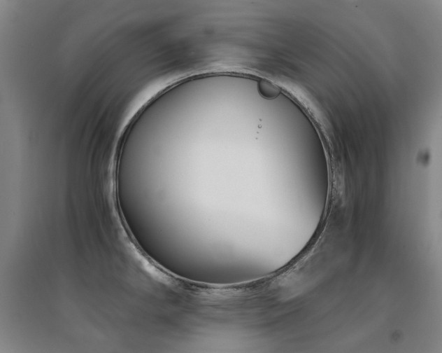 X0000094431294200711081217