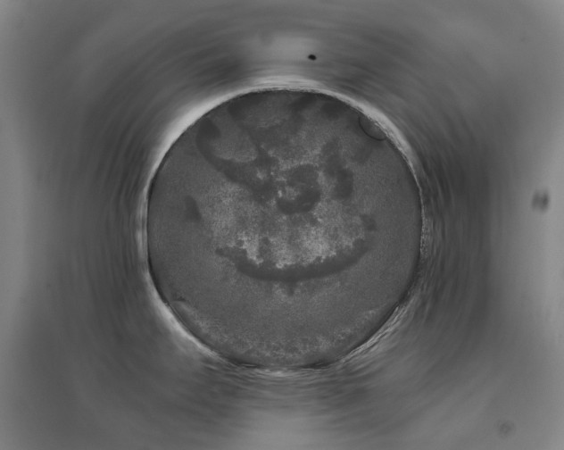 X0000094431295200711081217