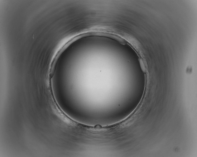 X0000094431296200711081217