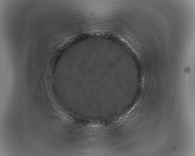 X0000094431297200711081217