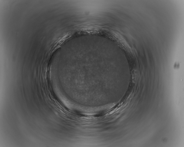 X0000094431298200711081217