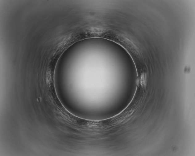 X0000094431299200711081217