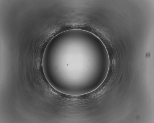 X0000094431300200711081217