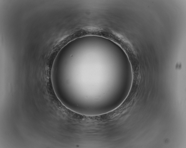 X0000094431301200711081217