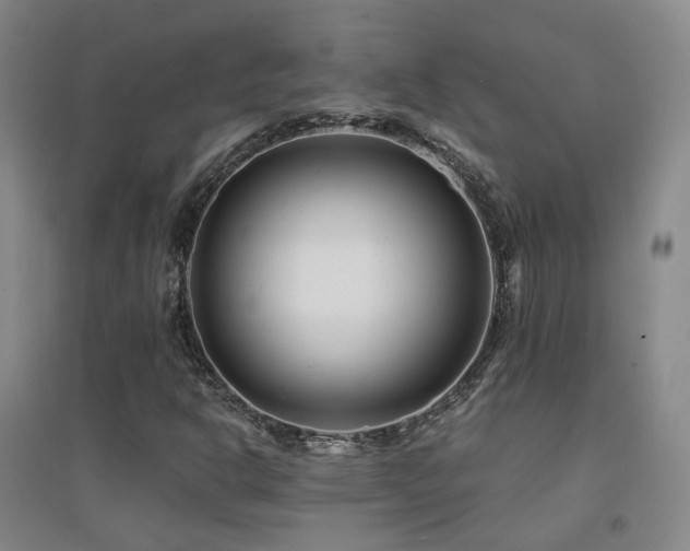 X0000094431302200711081217
