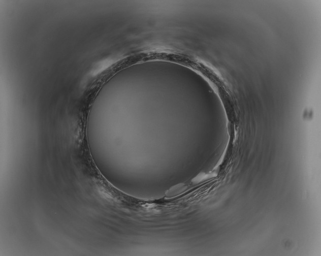 X0000094431303200711081217