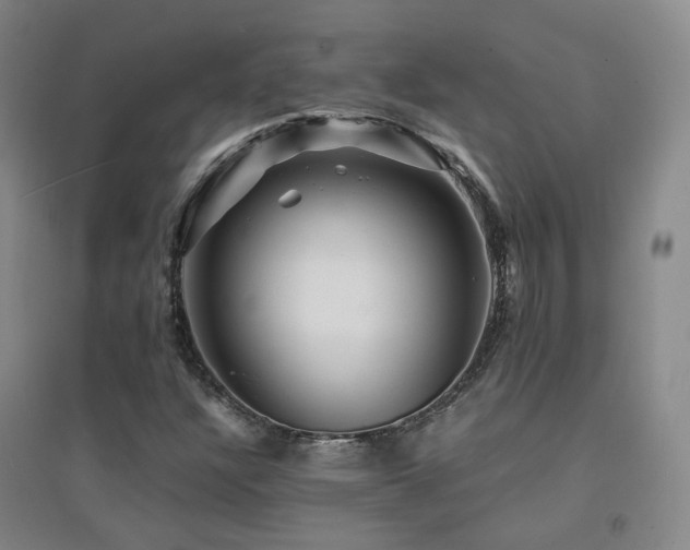 X0000094431304200711081217