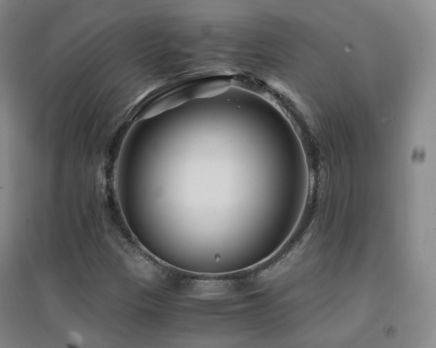 X0000094431305200711081217