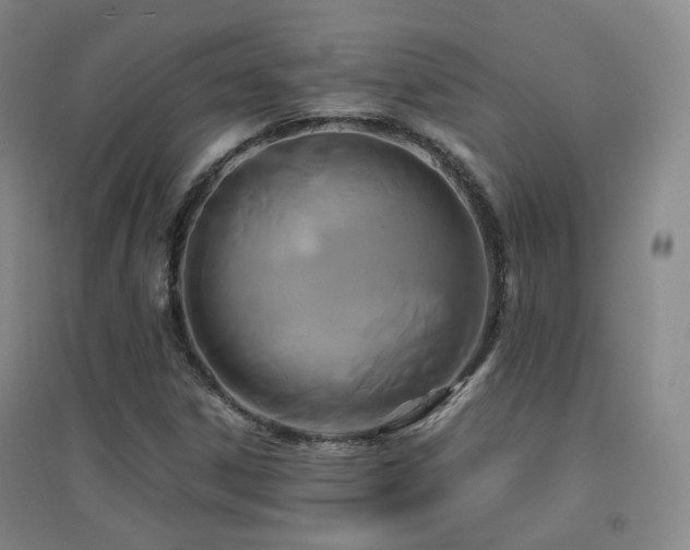 X0000094431306200711081217