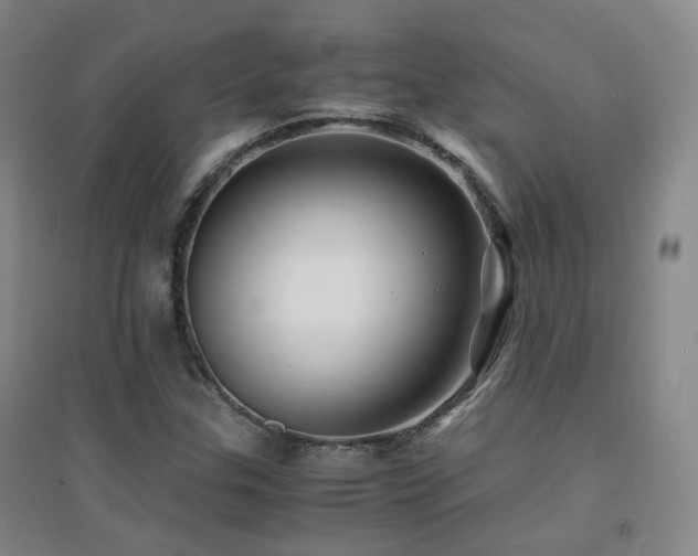 X0000094431307200711081217