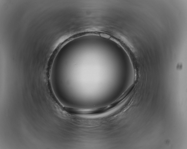 X0000094431308200711081217
