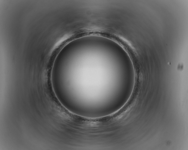 X0000094431309200711081217