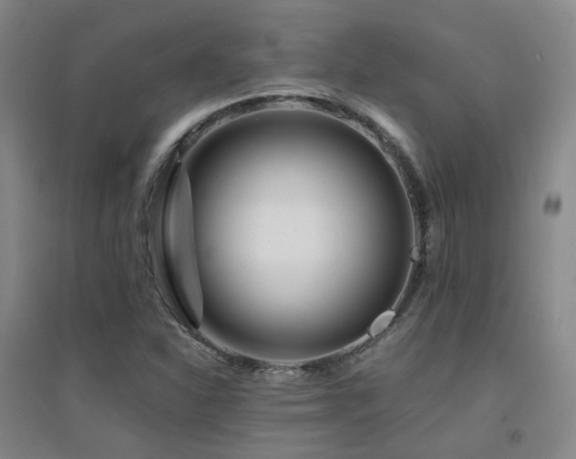 X0000094431310200711081217