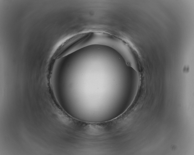 X0000094431312200711081217