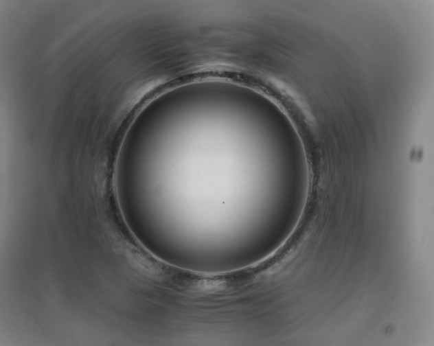 X0000094431313200711081217