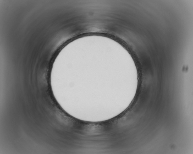X0000094431314200711081217