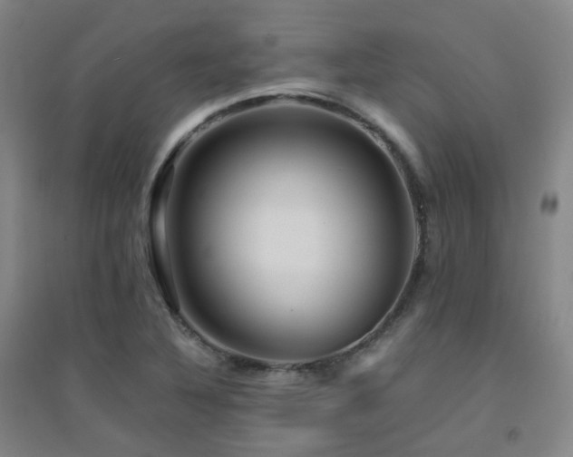 X0000094431316200711081217