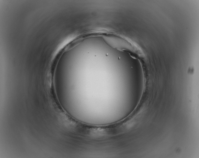 X0000094431317200711081217