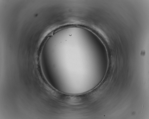 X0000094431318200711081217