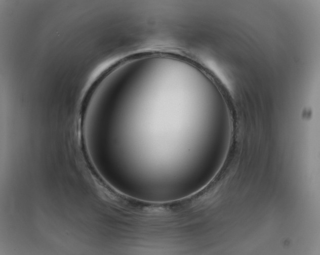 X0000094431320200711081217