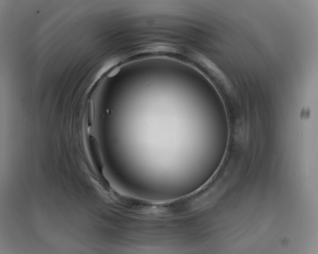 X0000094431321200711081217