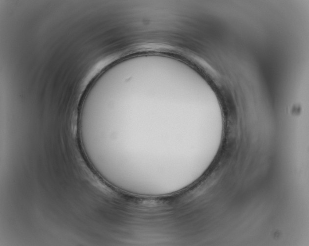 X0000094431322200711081217