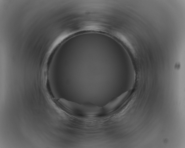 X0000094431323200711081217