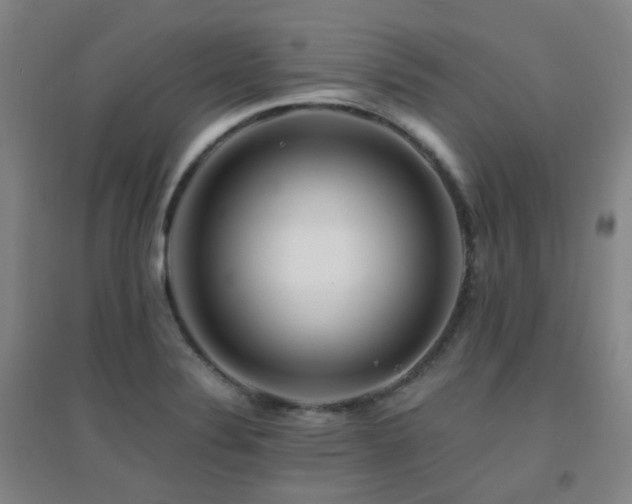 X0000094431324200711081217