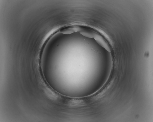 X0000094431325200711081217