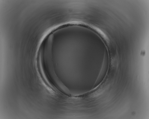 X0000094431327200711081217