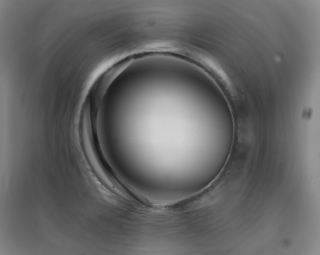 X0000094431328200711081217