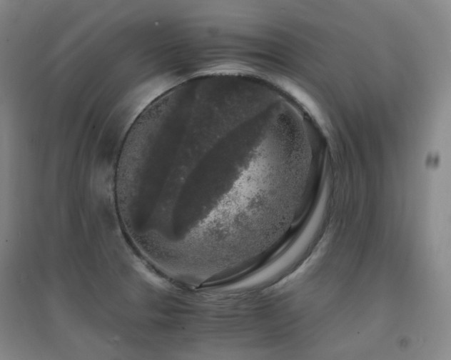 X0000094431329200711081217