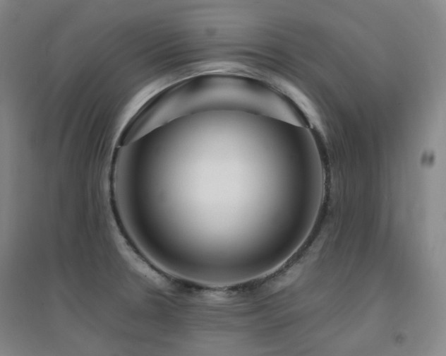 X0000094431330200711081217