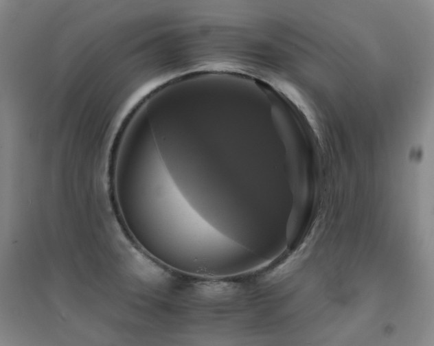 X0000094431331200711081217