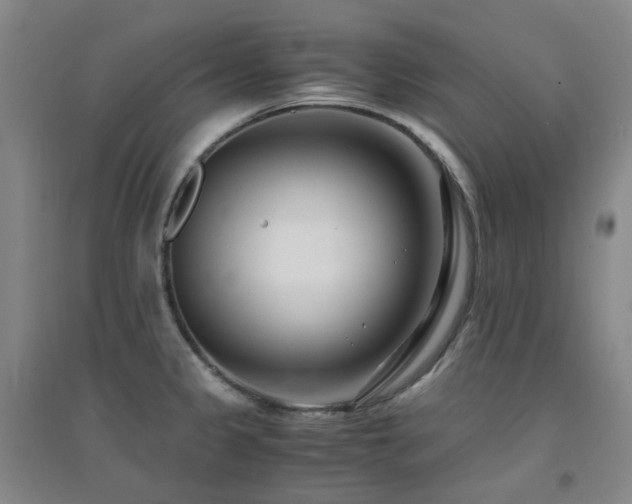 X0000094431333200711081217