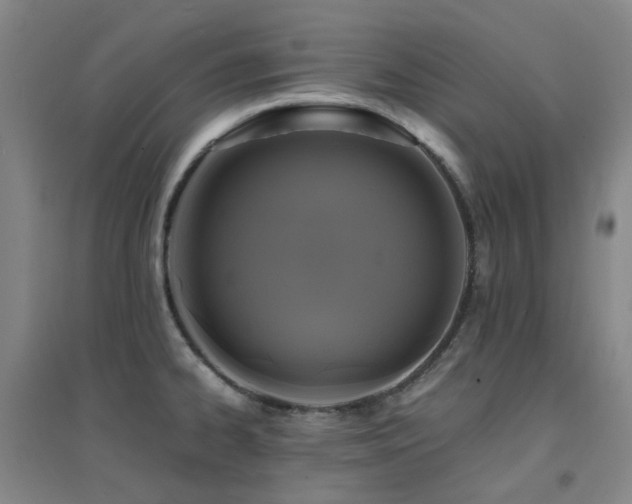 X0000094431334200711081217