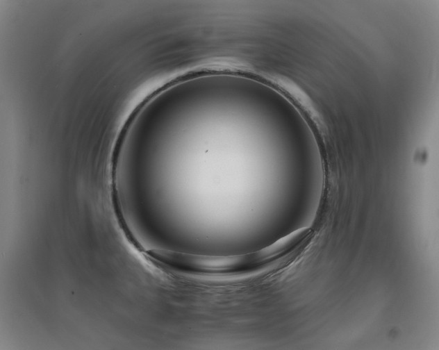 X0000094431335200711081217