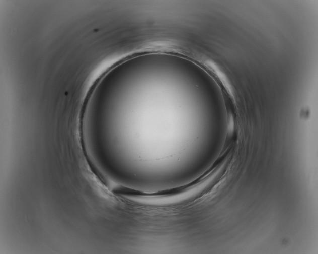 X0000094431336200711081217