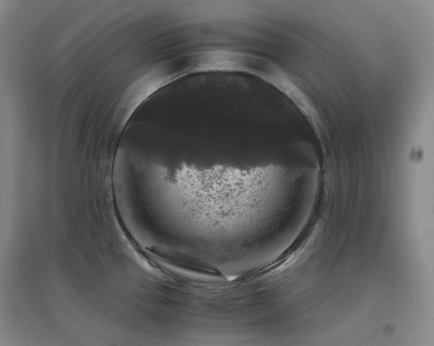X0000094431337200711081217