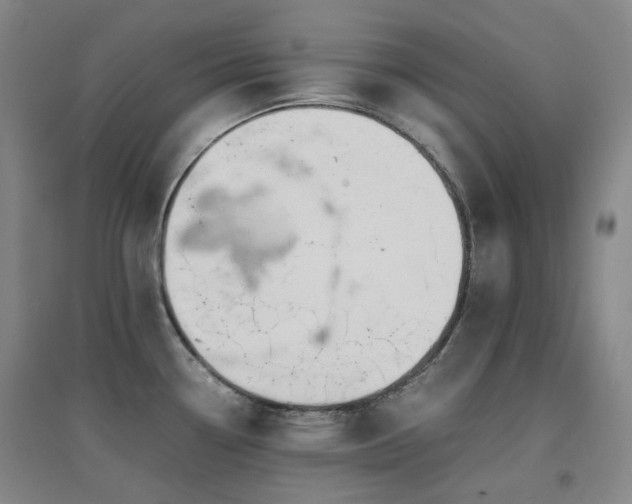 X0000094431338200711081217