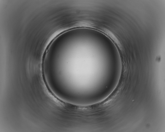 X0000094431339200711081217