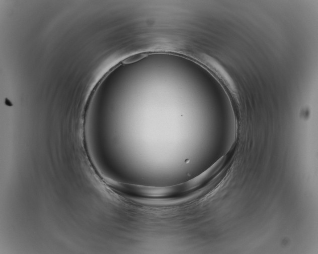 X0000094431340200711081217