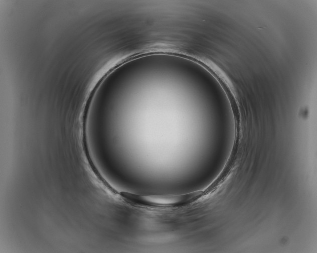 X0000094431341200711081217