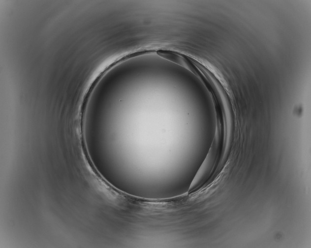 X0000094431342200711081217