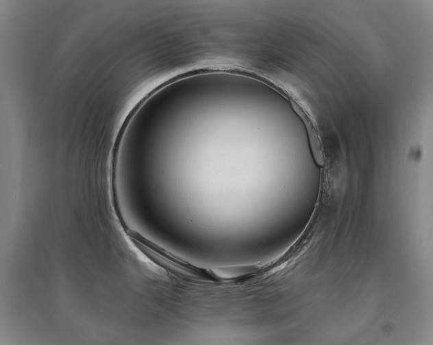 X0000094431343200711081217