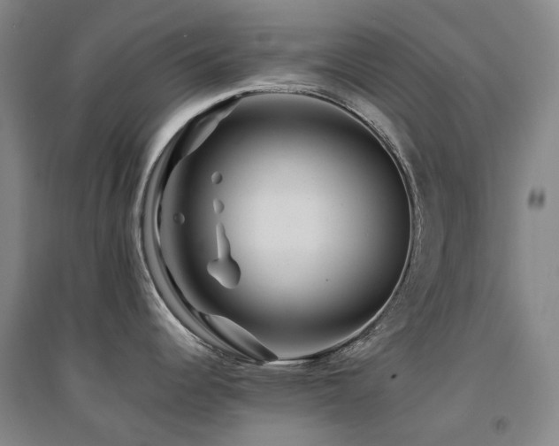 X0000094431344200711081217