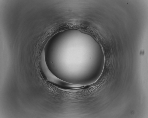X0000094431345200711081217